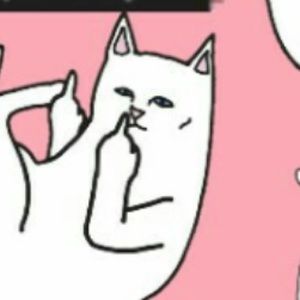 Meet your Posher, Zak